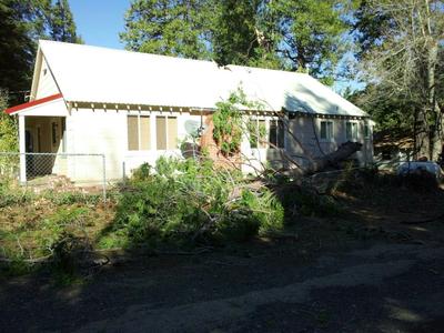 Tree on House